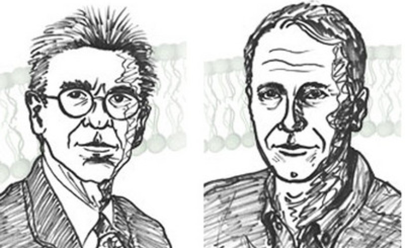 PREMIILE NOBEL 2012: Laureaţii pentru chimie sunt Brian K. Kobilka şi Robert J. Lefkowitz