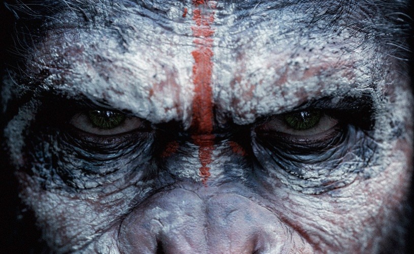 Planeta Maimutelor: Revoluţie, lider în box office