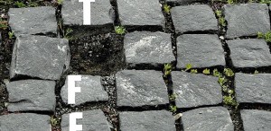 TIFF 2018, în fotografii