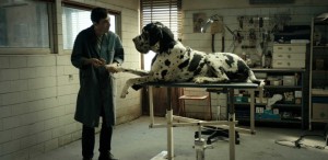 „Dogman”, triplu-laureat la Premiile Academiei Europene de Film, în cinematografe din 25 ianuarie