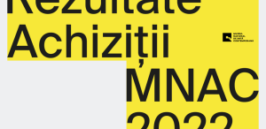 Ce lucrări a achiziționat în 2022 Muzeul Național de Artă Contemporană al României
