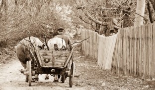 Siliștea Gumești, Teleorman. 30 de ani mai târziu – Povestirile lui Tomșa