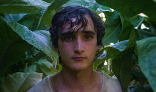 „Lazzaro felice”. Puritate ★★★★★
