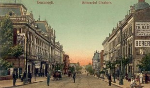 Bulevardul Regina Elisabeta. Scurtă poveste despre supraviețuire