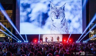 România sălbatică se lansează în cinematografele din întreaga țară pe 17 septembrie