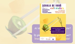 Vara se numără ideile de proiecte culturale la Școala de Vară Culturadata