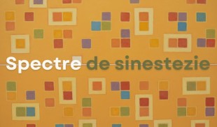 Elite Art Gallery găzduiește expoziția „Spectre de sinestezie”