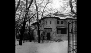 „Enigma Otiliei”, o poveste scoasă la licitație