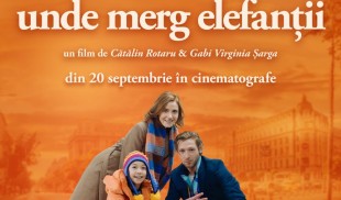 Unde merg elefanții, un film puzzle ce așteaptă să fie descifrat, în cinematografe
