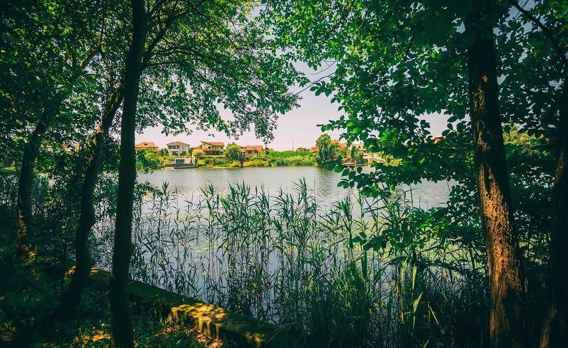 Începe Marele Picnic Cinematografic de la Domeniul Mogoșoaia