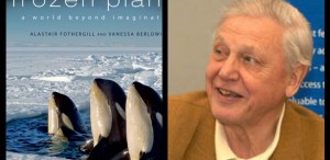 VIDEO Documentarul „Planeta îngheţată: Pe gheaţa subţire“ va fi difuzat miercuri, la BBC Knowledge