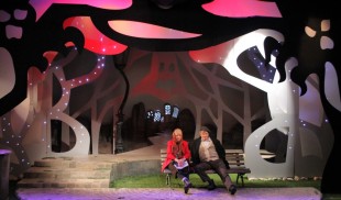 Programul teatrelor din Bucureşti în perioada 9 – 15 martie