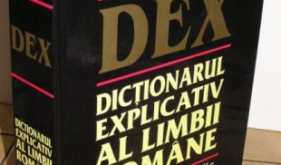 Dans printre cuvinte. Lada cu zestre a limbii române