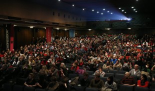 Televizorul, muzica populară și Sergiu Nicolaescu domină preferințele culturale ale românilor