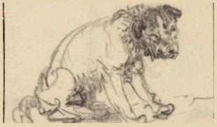 O schiţă de Rembrandt, autentificată după 250 de ani
