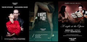 Teatru și operă, în luna mai, la Teatrul de Artă București