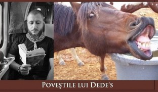 Calul. Lumea lui Dede’s