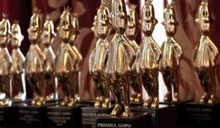 Cine ar putea câştiga şi cine ar merita să câştige la Premiile Gopo