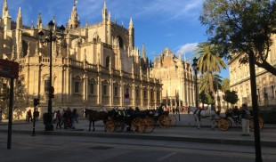 Andaluzia cu miros de portocală amară