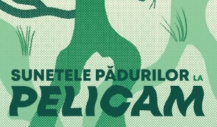 Pelicam și Greenpeace România lansează „Sunetele Pădurilor: Pădurea nu e un film mut” la Tulcea