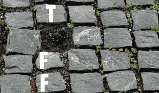 TIFF 2018, în fotografii