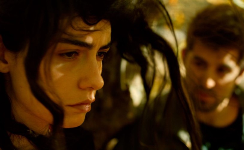 Stimate domnule Nuri Bilge Ceylan