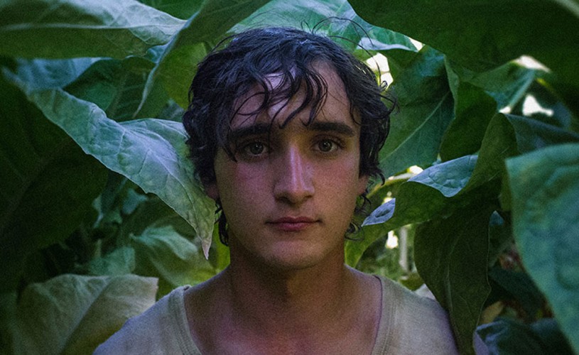 „Lazzaro felice”. Puritate ★★★★★