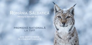 România Sălbatică, cel mai vast proiect de film documentar din țara noastră, va avea premiera națională la TIFF
