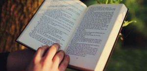 Ziua Națională a Lecturii sărbătorită în filialele BMB