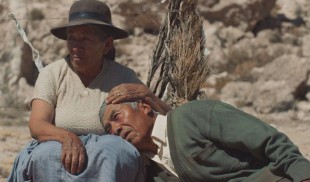 Cele mai așteptate filme ale anului, actori, regizori și vedete, la prima ediție Sunscreen Film & Arts Festival