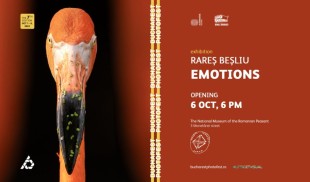 9 zile dedicate fotografiei și educației vizuale și peste 25 de evenimente – Bucharest Photofest începe pe 1 octombrie