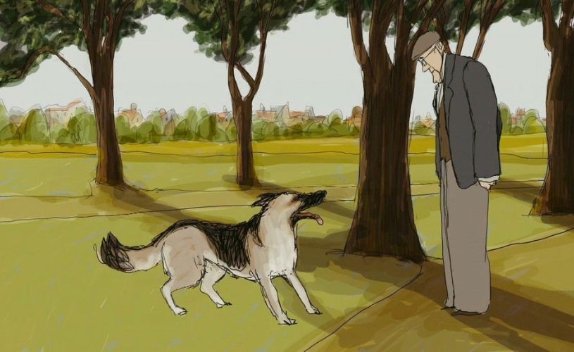 Animate the Love: Despre iubire, sub toate formele ei, la cea de-a 17-a ediție Animest