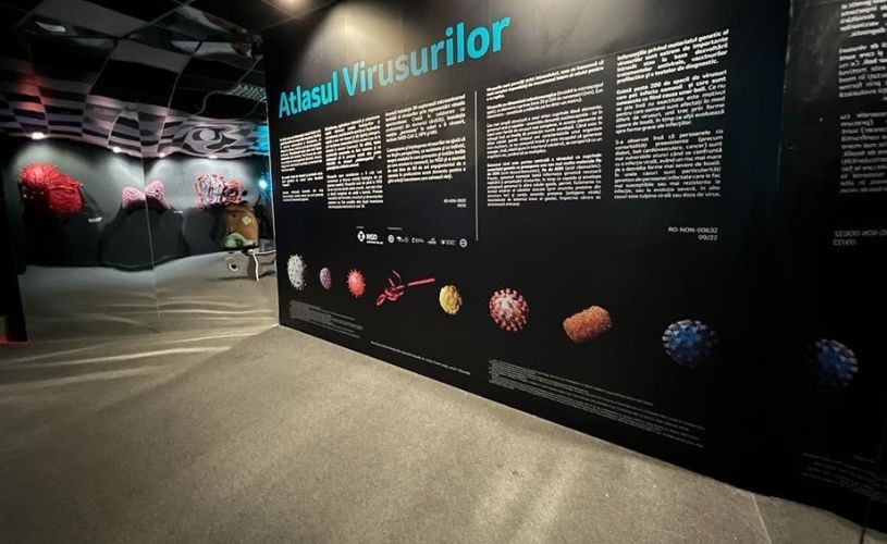 Atlasul Virusurilor, prima expoziție 3D din România care explorează universul invizibil al virusurilor, inaugurată la Art Safari