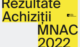 Ce lucrări a achiziționat în 2022 Muzeul Național de Artă Contemporană al României
