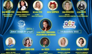 Conferințele AntrepreMAME – Ediția I. Evele învață din greșeli