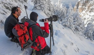Filmul de making of al popularului documentar „România Sălbatică” este de azi disponibil online gratuit