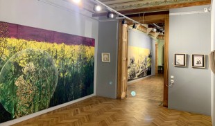 DREAM ON – expoziția primăverii la Castelul Cantacuzino