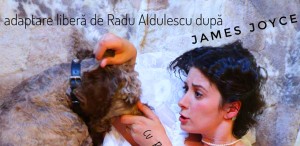 Bloomsday ediția a II-a, la Muzeul Național al Literaturii Române din București