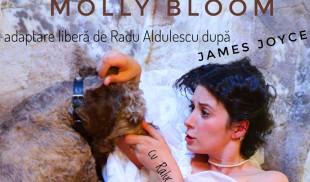 Bloomsday ediția a II-a, la Muzeul Național al Literaturii Române din București