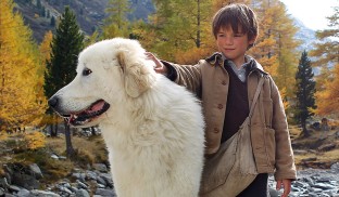 TIFF Education: filme, ateliere și super distracție pentru copii