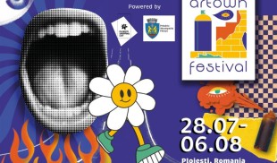 19 picturi murale si 37 de artisti la festivalul Artown #2, la Ploiești