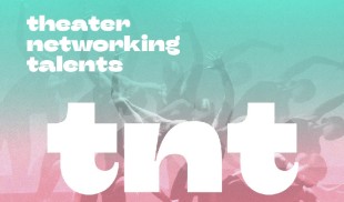 Theater Networking Talents, la Craiova