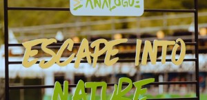 Analogue Festival 2023: trei zile de concerte și experiențe în mijlocul naturii între 25 și 27 august