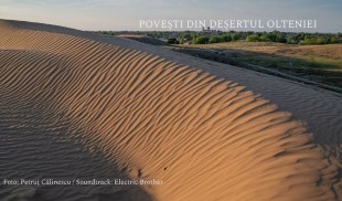 Povești din deșertul Olteniei – Un produs multimedia despre deșertificare, pepeni și un brand național