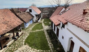 Șona AIR, program de rezidență artistică al Fundației Ștefan Câlția, anunță primii invitați ai ediției 2024