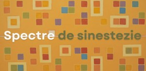Elite Art Gallery găzduiește expoziția „Spectre de sinestezie”