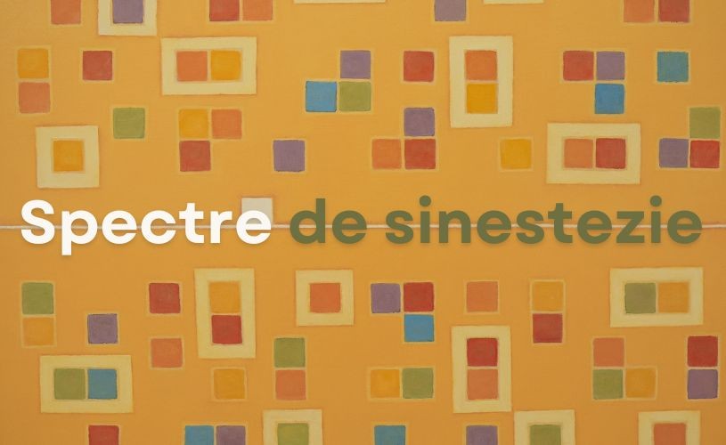 Elite Art Gallery găzduiește expoziția „Spectre de sinestezie”