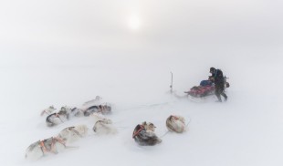Morten Hilmer, unul dintre cei cunoscuți fotografi europeni, este invitatul special al LYNX Festival 2024