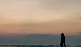 „The Seed of the Sacred Fig”, premiat la Cannes, deschide ANONIMUL