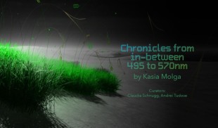 Chronicles from In-Between 495-570 nm – o cronică a lumii naturale evanescente la granița dintre artă, știință și memorie personală